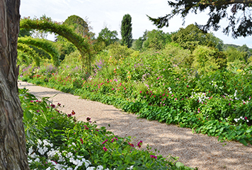 Août au jardin…