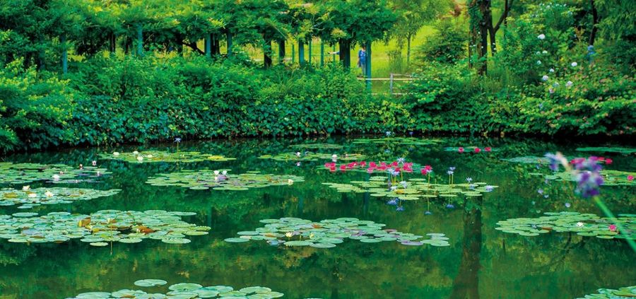 Le Giverny nippon fête ses vingt ans !