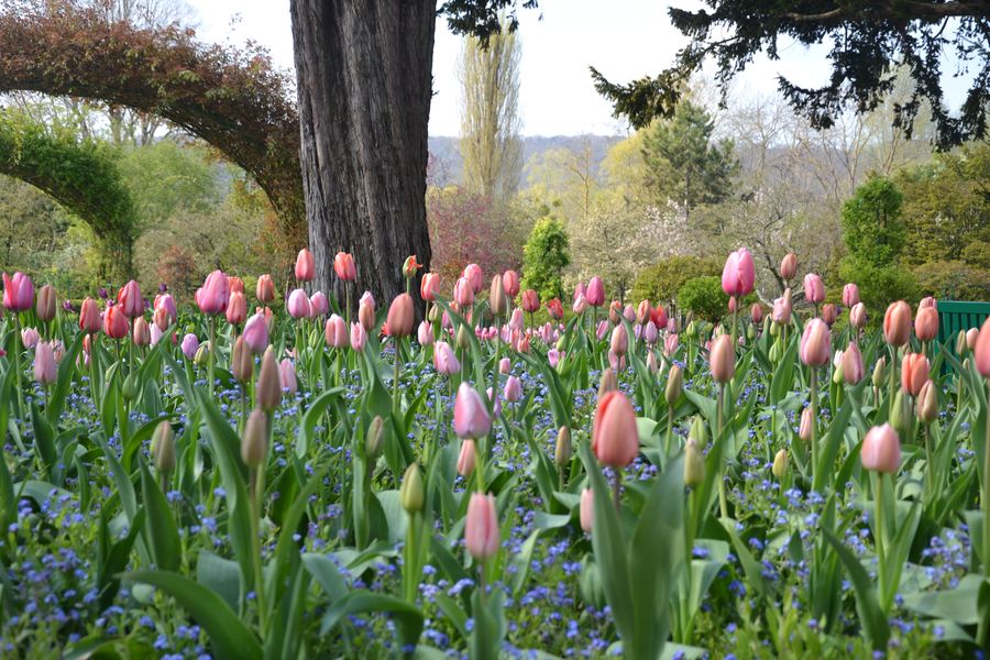 Pink and blue!