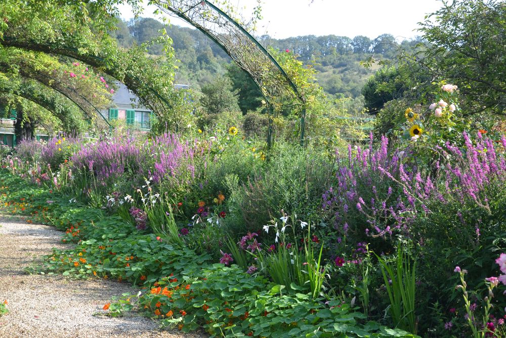 Fin août au jardin…